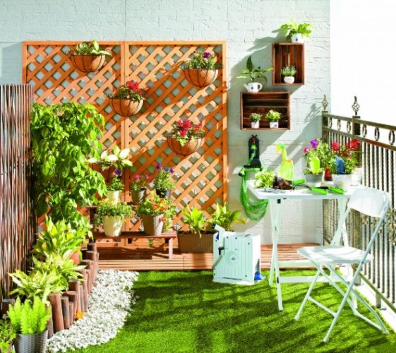 室內植物風水