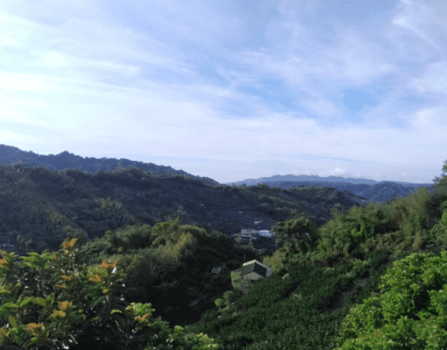 古代風水文化與地理學有何不同
